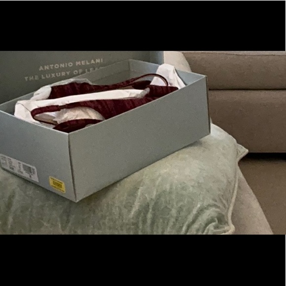 ANTONIO MELANI Lenore Burgundy Velvet Heels - Picture 5 of 5